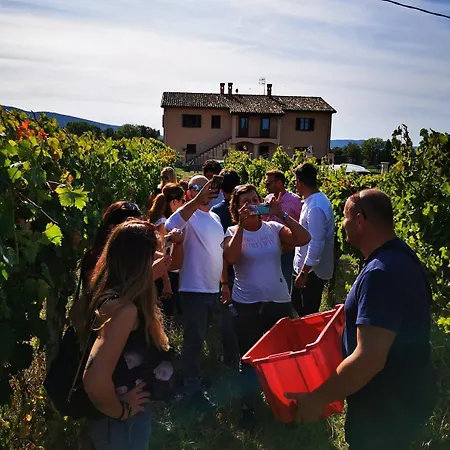 Bed & Breakfast Casale Rialto Montefalco
