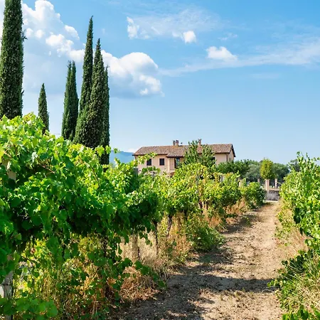 Casale Rialto 3* Montefalco