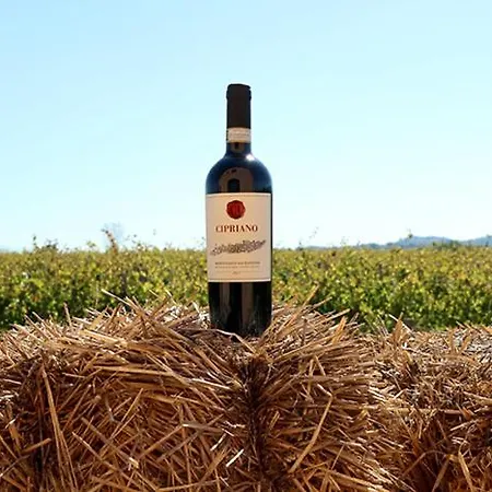 Casale Rialto Bed & Breakfast Montefalco