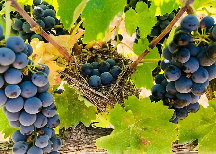 Bed & Breakfast Casale Rialto 3*