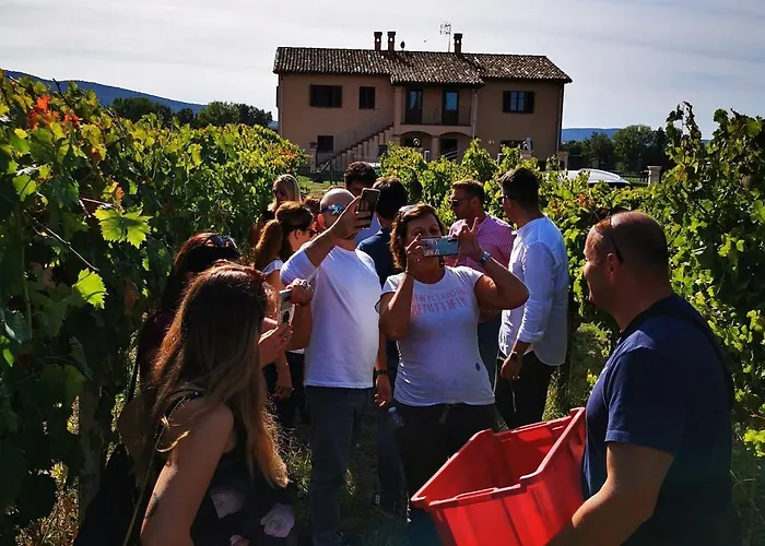 Bed & Breakfast Casale Rialto Montefalco