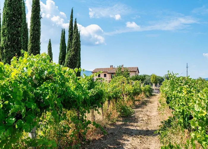 Casale Rialto 3* Montefalco