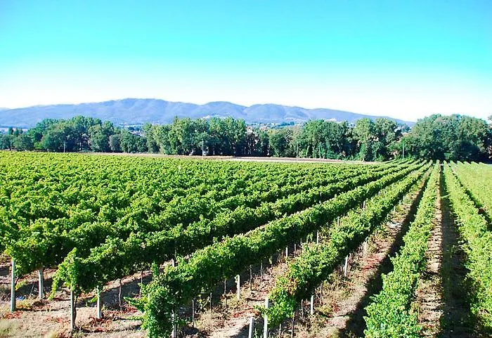 Casale Rialto Bed & Breakfast 3*